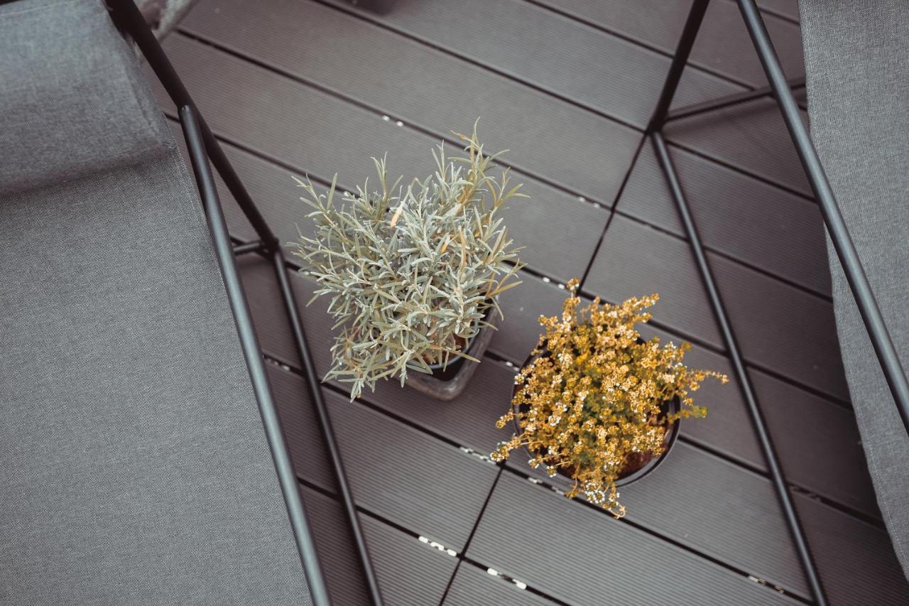 Exklusive Ferienwohnung An Der Mosel - Top Ausstattung - Dachterrasse - E-Ladestation - Netflix Senheim Exterior foto